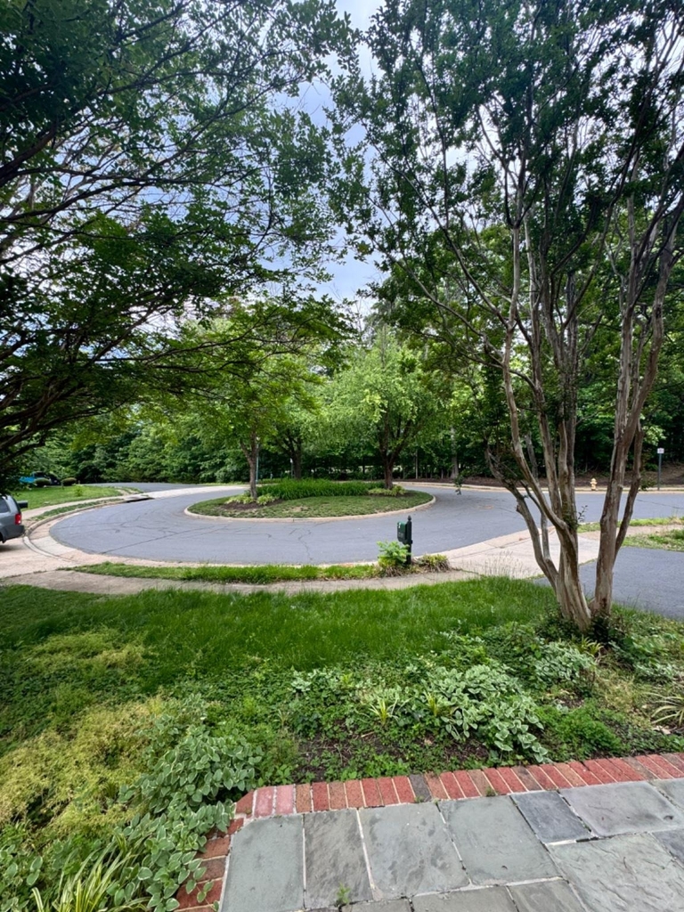 12385 Cold Stream Guard Court - Photo 4
