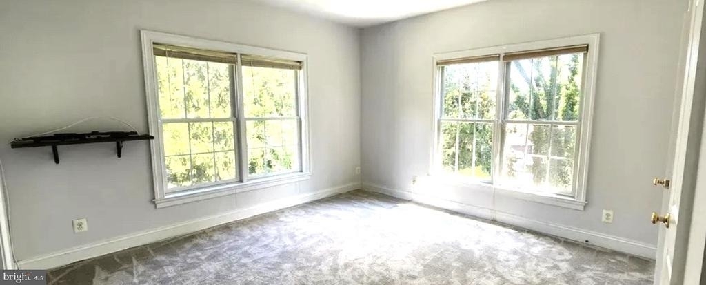 1310 Forestwood Dr. - Photo 5