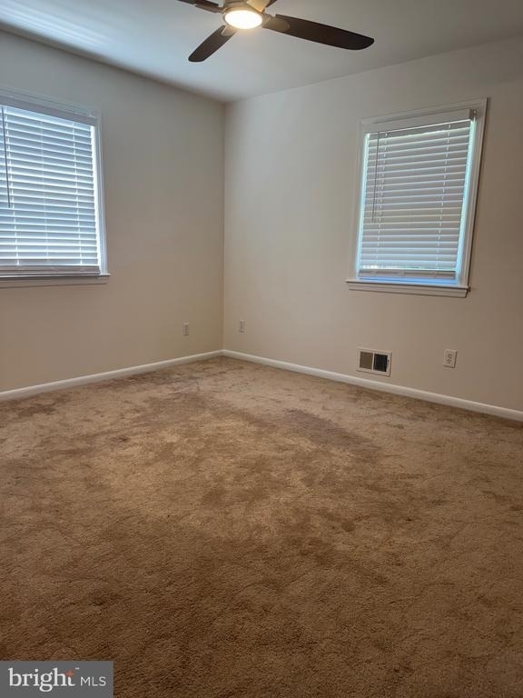 6718 Chestnut Oak Lane - Photo 13