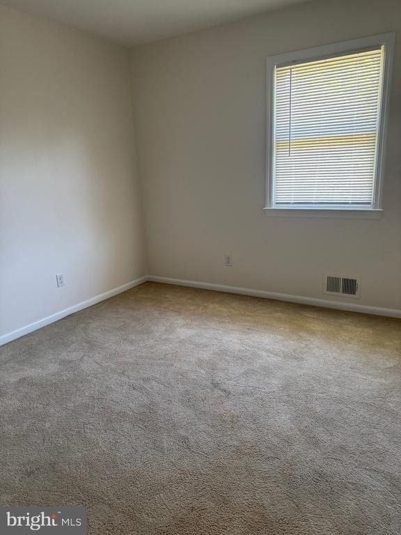 6718 Chestnut Oak Lane - Photo 10