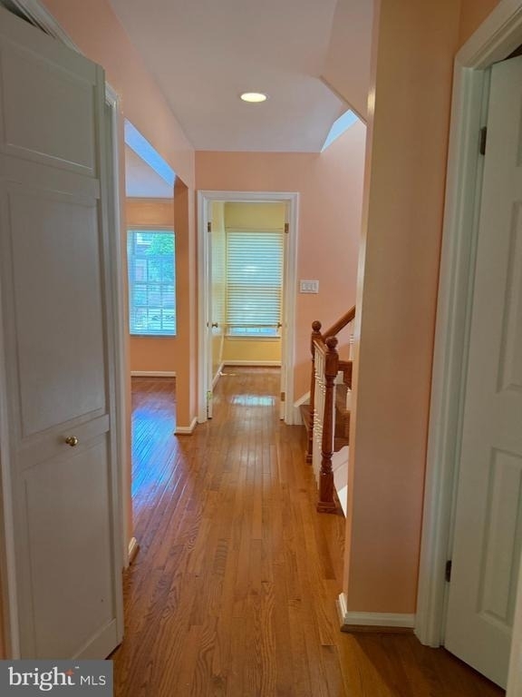 5149 Woodmire Lane - Photo 11