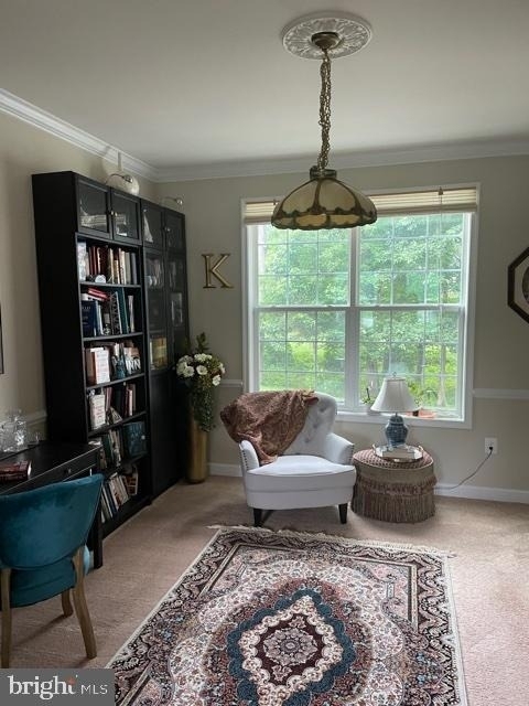 6705 Chapel Dale Road - Photo 14