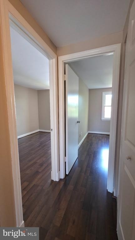 24 Lerner Court - Photo 11