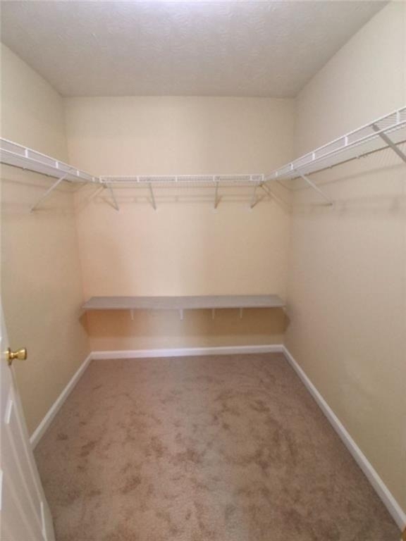 3617 Oakland Spring Court - Photo 19