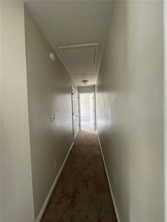 700 Cannoli Court - Photo 24