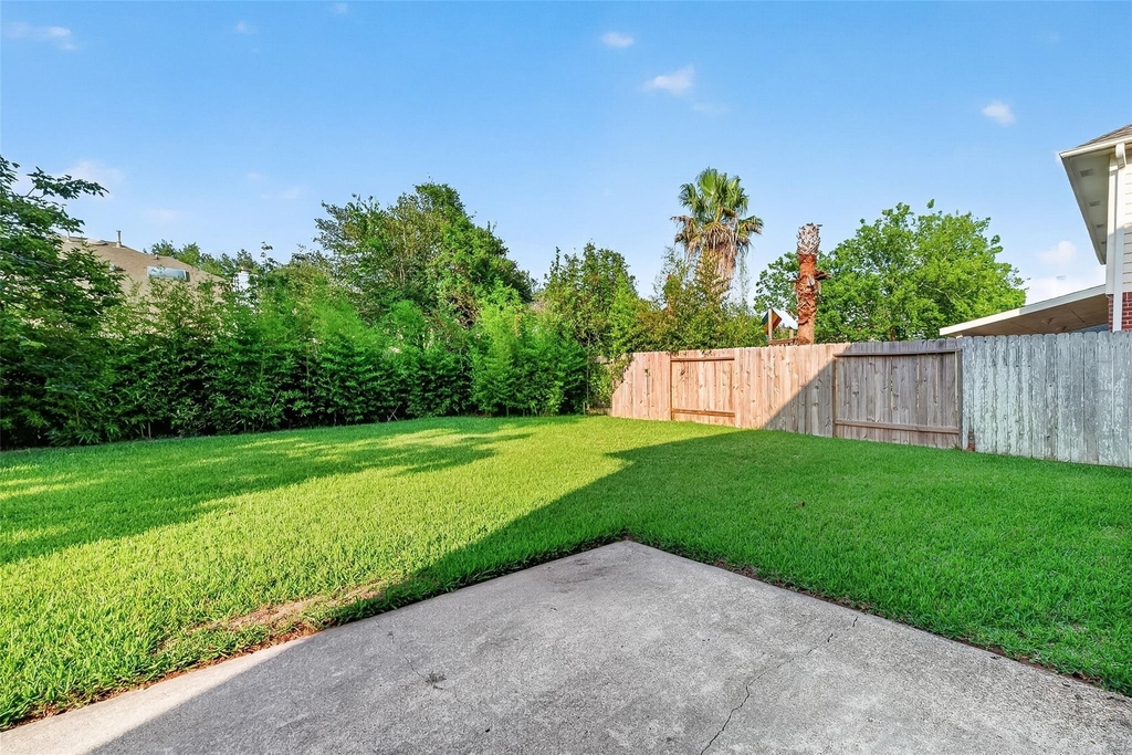 4539 Springfield Lakes Street - Photo 30