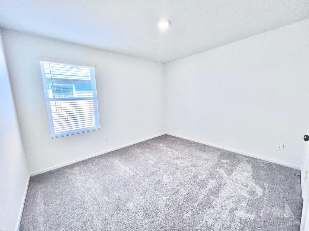 1392 Diamond Carnation Drive - Photo 11
