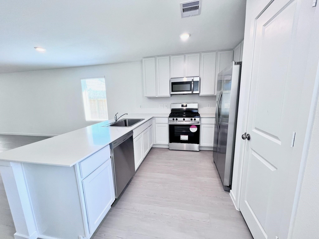 1392 Diamond Carnation Drive - Photo 4