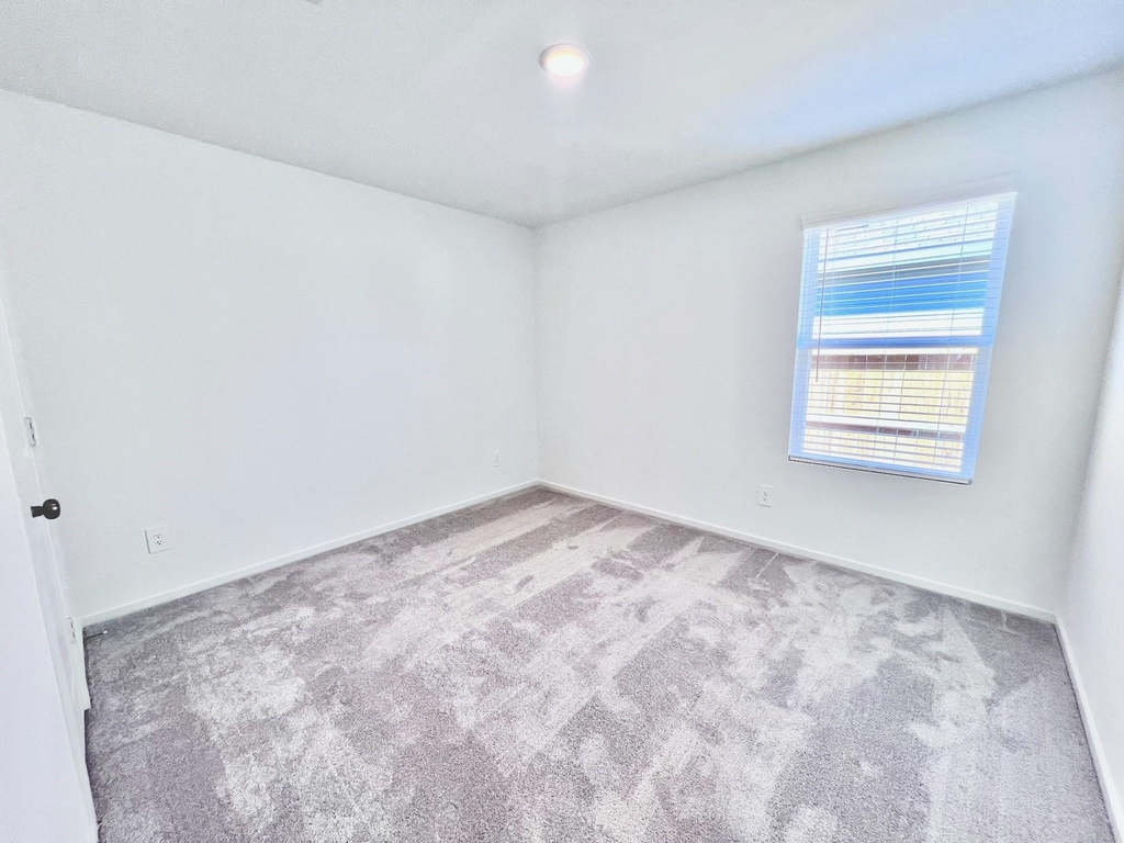 1392 Diamond Carnation Drive - Photo 10