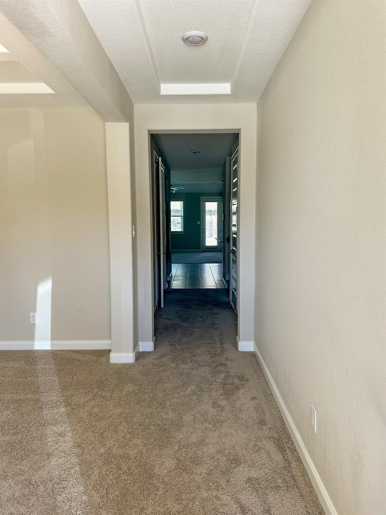 24926 Clearwater Willow Trace Trace - Photo 3