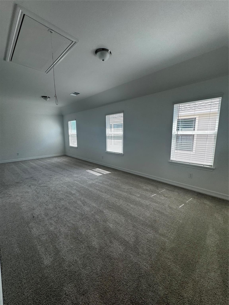 23642 Red Rowan Ln - Photo 13