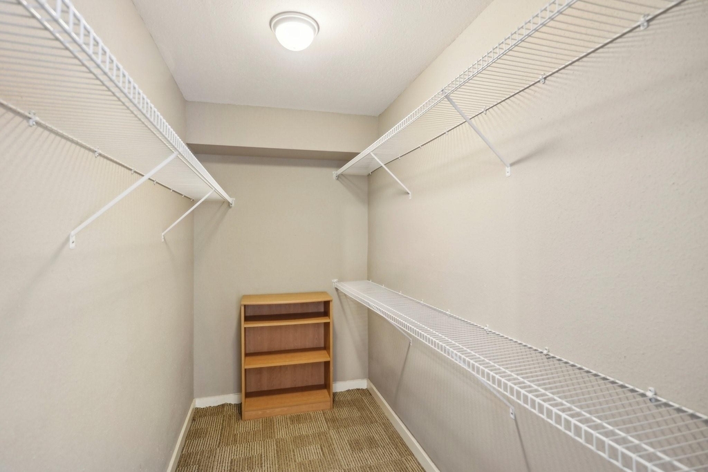 4641 Wild Indigo Street - Photo 5