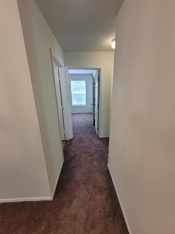36106 Lake Chase Boulevard - Photo 20