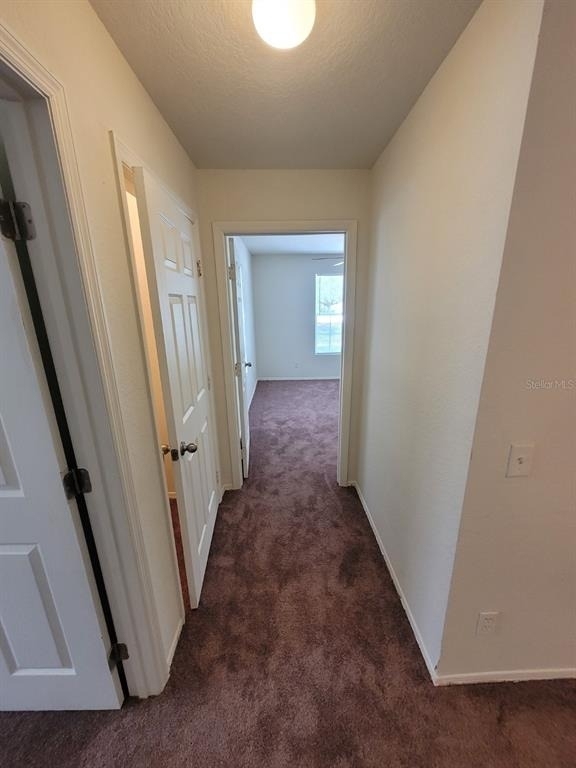36106 Lake Chase Boulevard - Photo 29
