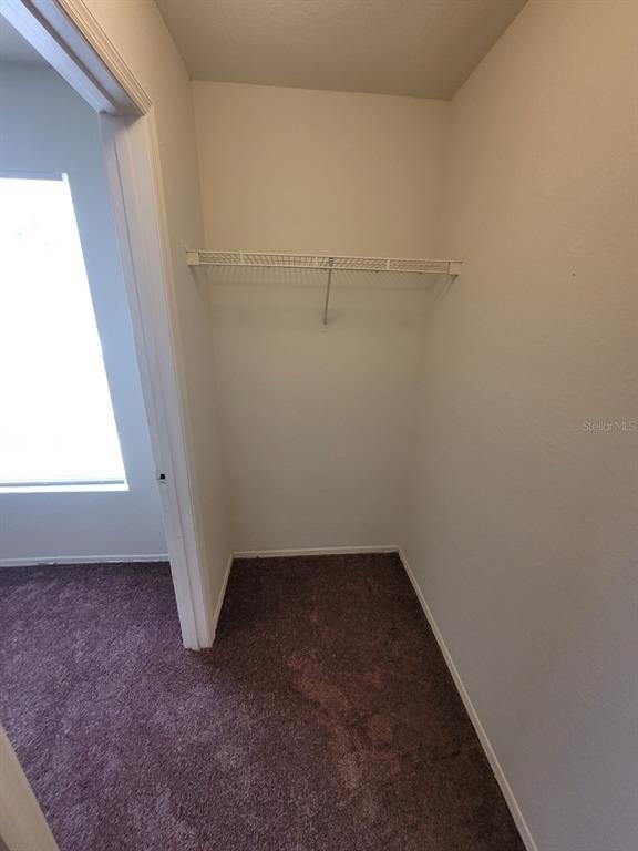 36106 Lake Chase Boulevard - Photo 28