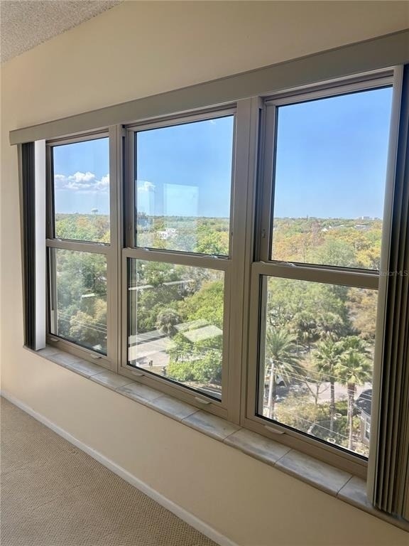 2401 Bayshore Boulevard - Photo 19