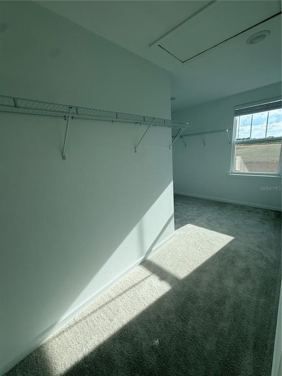 13007 Tollcross Way - Photo 23