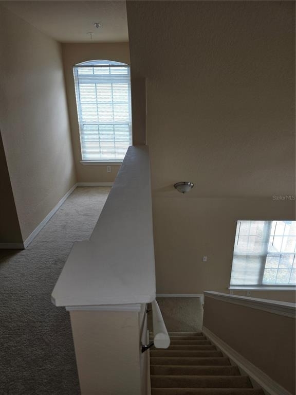 5601 Rosehill Road - Photo 20