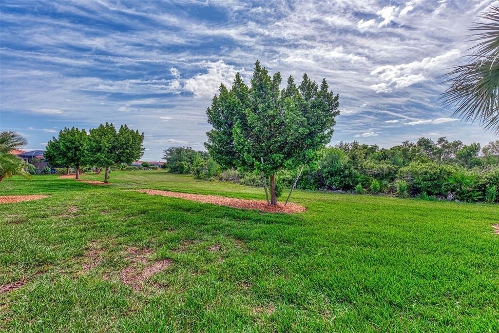 10113 Fiddlewood Drive - Photo 28