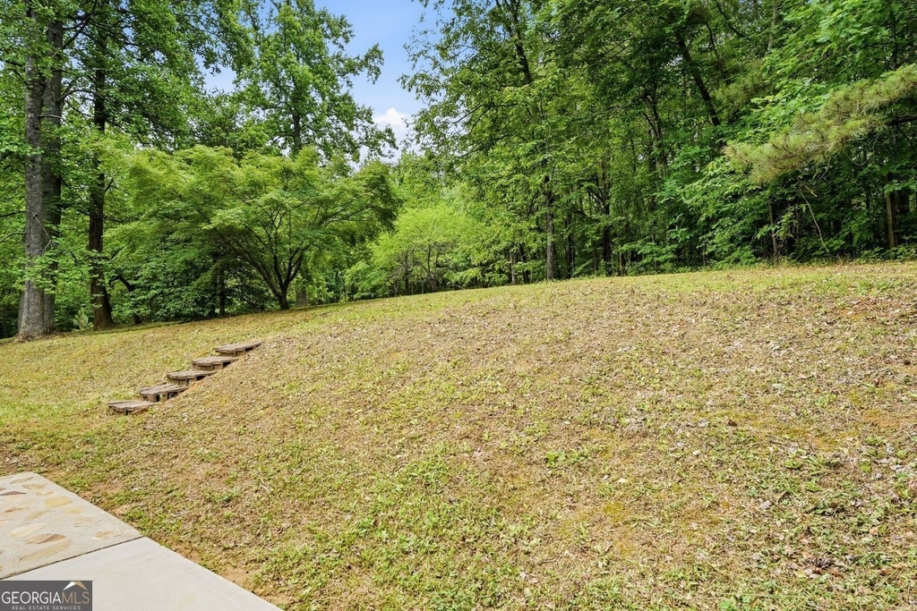 285 Cline Valley Place - Photo 36