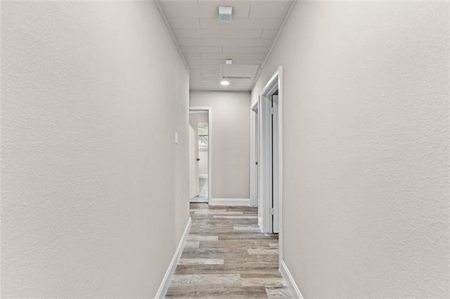 5860 Tracyne Drive - Photo 6