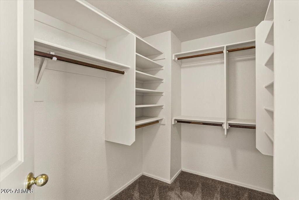 5709 E Gelding Drive - Photo 21