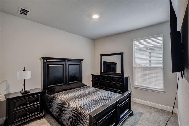 1513 Woodpecker Street - Photo 7