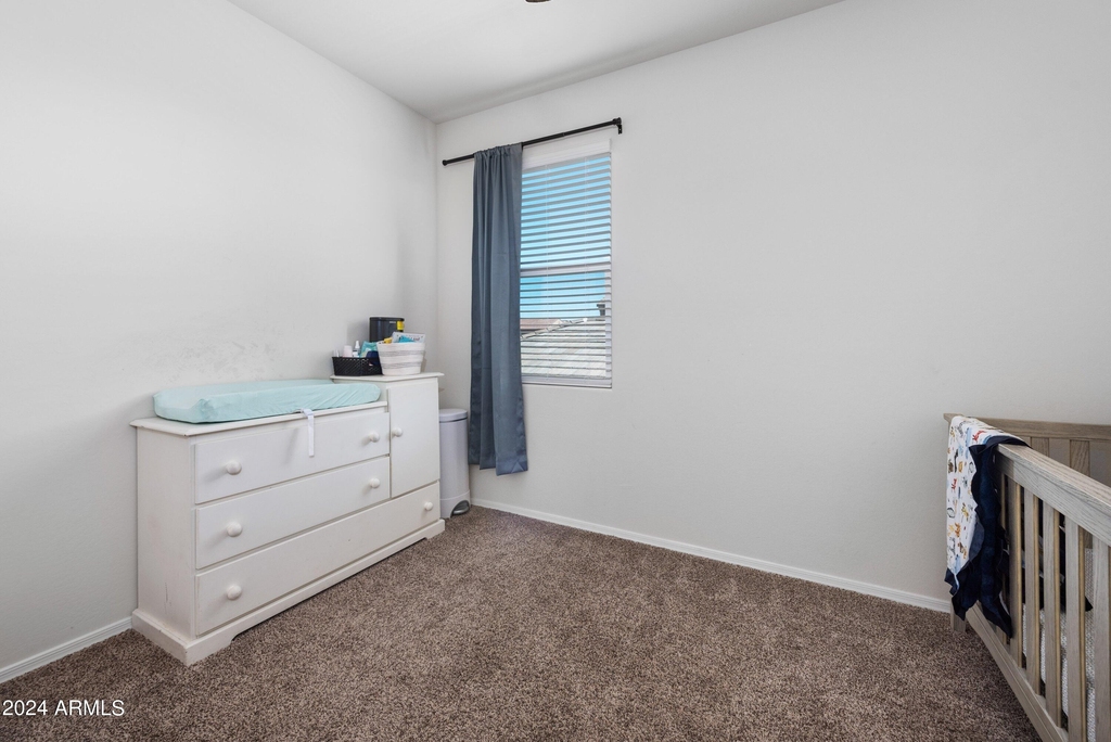 35419 W San Ildefanso Avenue - Photo 31