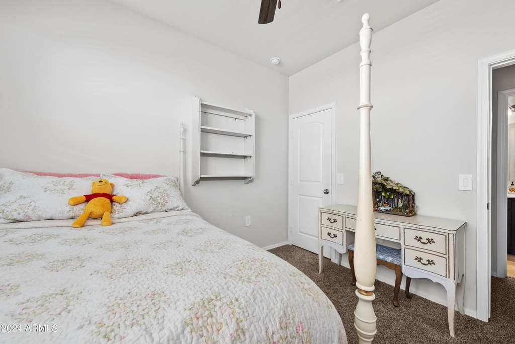 35419 W San Ildefanso Avenue - Photo 26