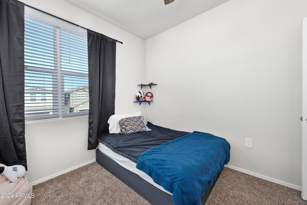 35419 W San Ildefanso Avenue - Photo 29