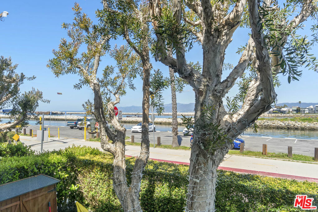6209 Pacific Avenue - Photo 38