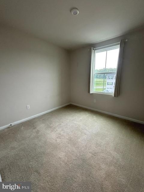 62 Rose Glen Court - Photo 21