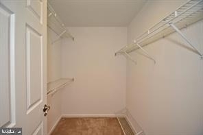 519 Paoli Pointe Drive - Photo 5