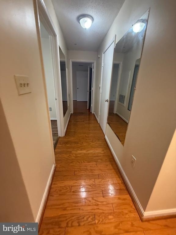 14203 Wolf Creek Place - Photo 4