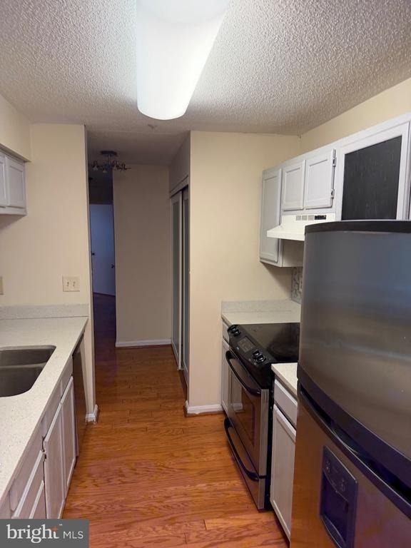 14203 Wolf Creek Place - Photo 3
