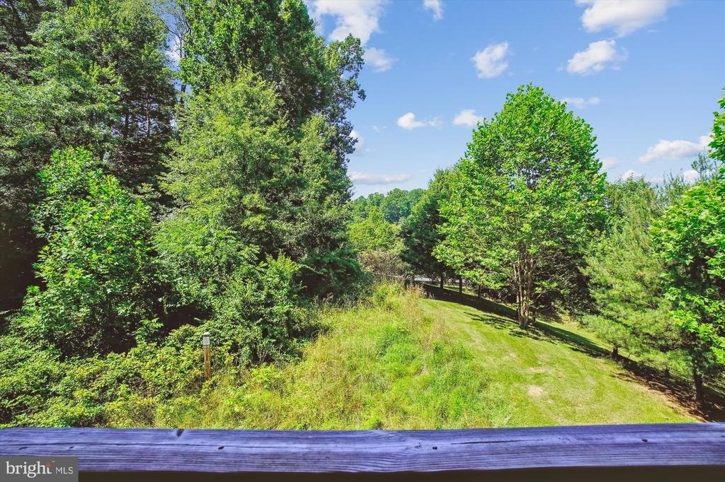 23204 Scholl Manor Way - Photo 12