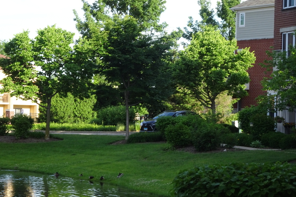 219 W Hyde Street - Photo 1