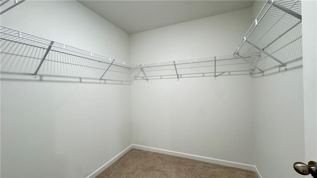 709 Alburgh Alley - Photo 26