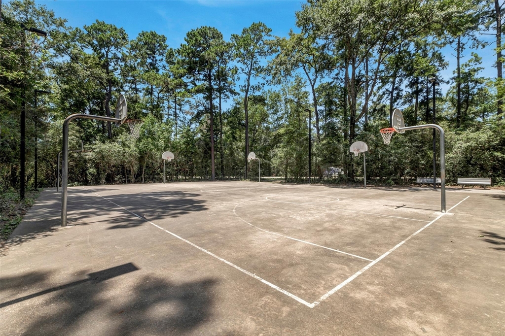 218 Blushwood Place - Photo 22