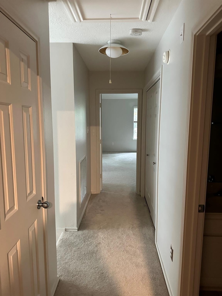 218 Blushwood Place - Photo 24
