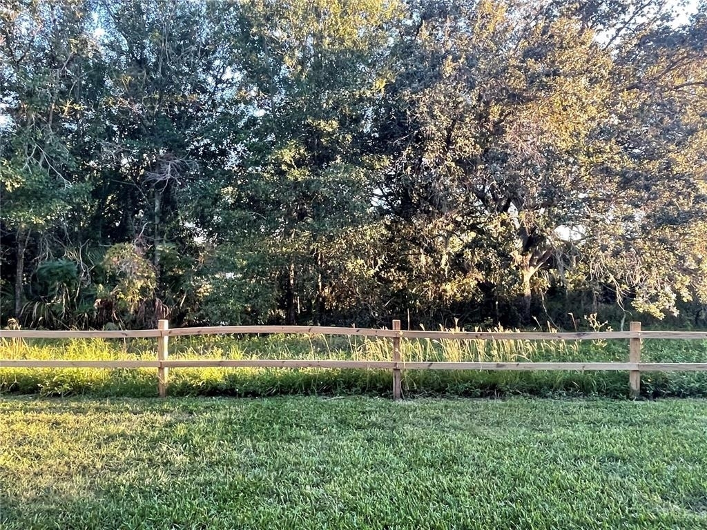 103 Palmetto Court - Photo 34