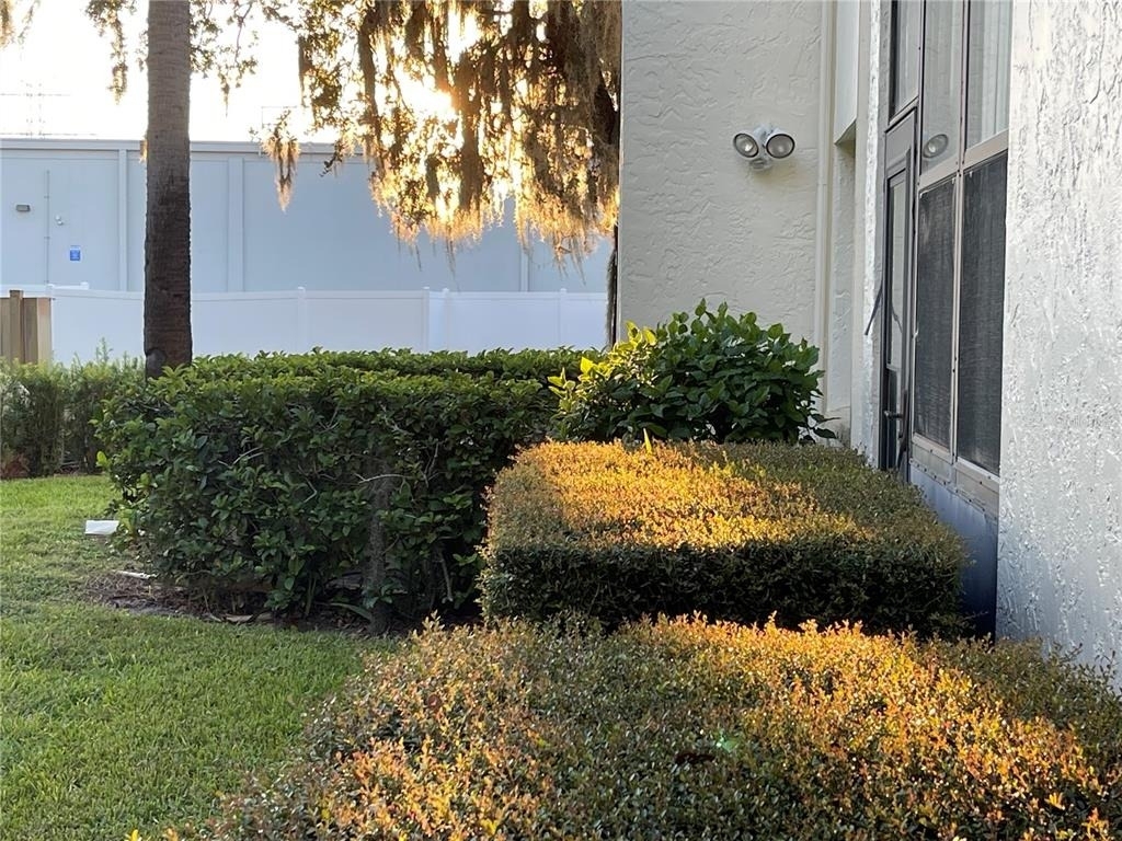 103 Palmetto Court - Photo 33