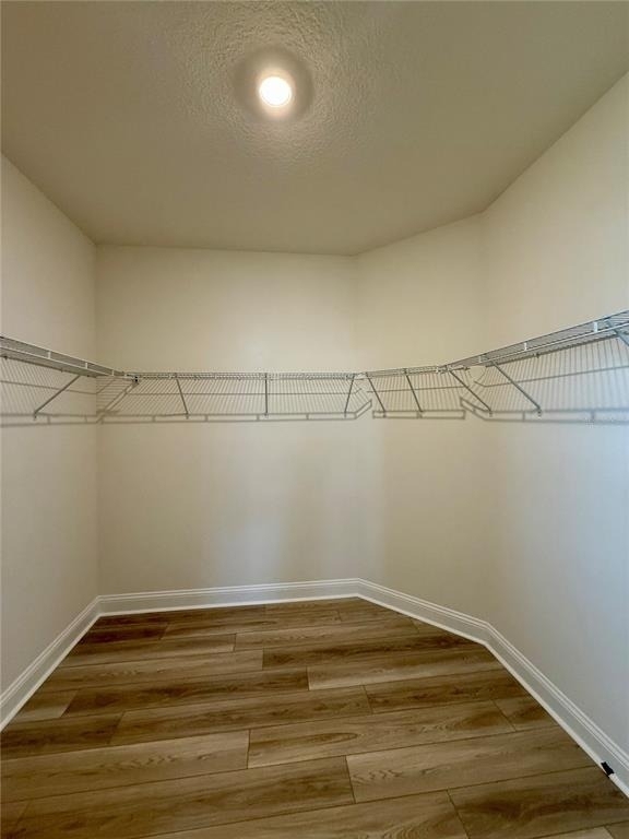 53 Signet Circle - Photo 21