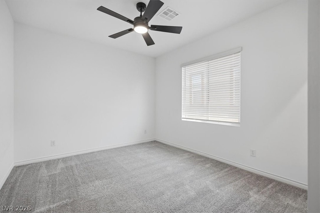 294 Mount Williamson Street - Photo 19