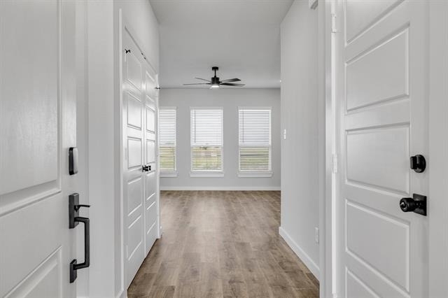 4028 Clovis Street - Photo 13