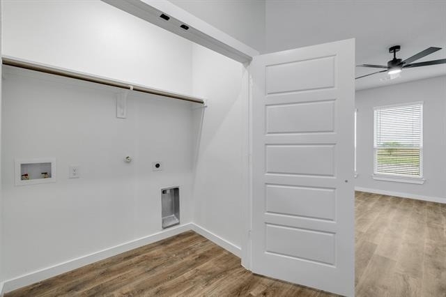 4028 Clovis Street - Photo 14