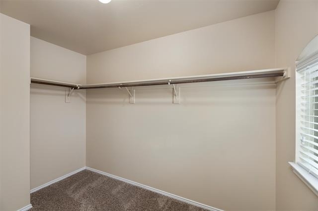 382 Armstrong Lane - Photo 17