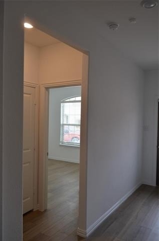 7924 Lindheimer Lane - Photo 14
