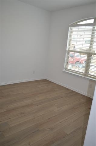 7924 Lindheimer Lane - Photo 16