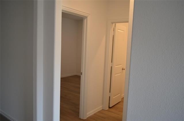 7924 Lindheimer Lane - Photo 19